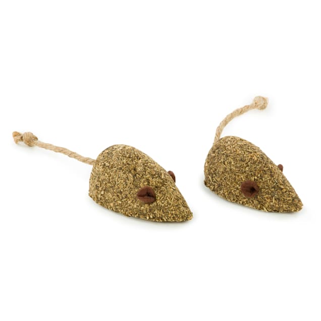 Compressed deals catnip toy