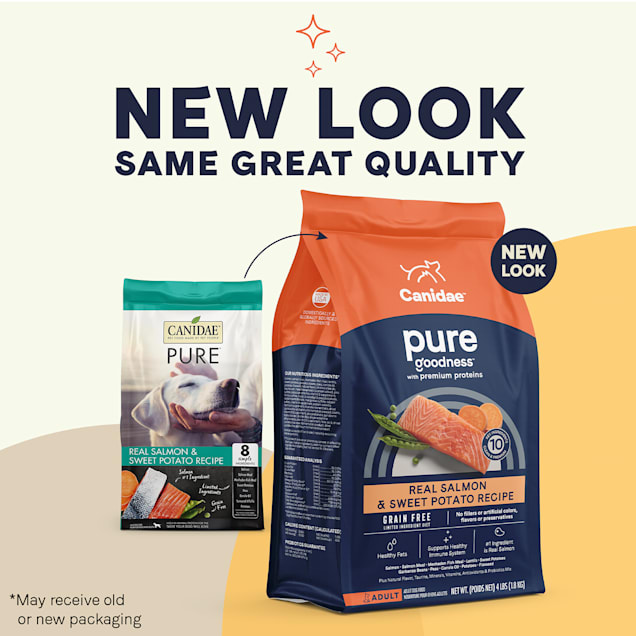 Canidae grain free deals salmon