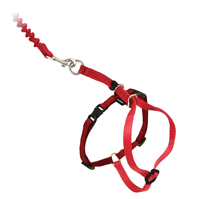PetSafe Gentle Leader Come with Me Kitty Harness & Bungee Leash in Red, Medium - Carousel image #1