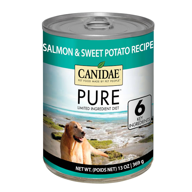 salmon canned dog food