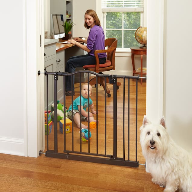 Mypet windsor extra wide arch pet gate for dogs & cheap cats
