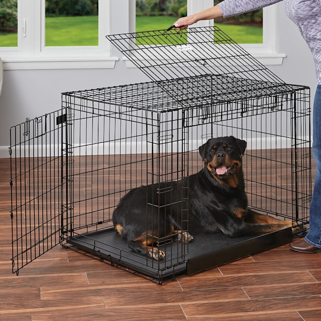MidWest Homes for Pets Ovation Single Door Dog Crate, 31.25-Inch by Mi