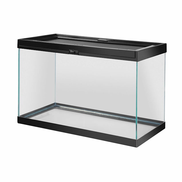 5 gallon tank reptiles hotsell
