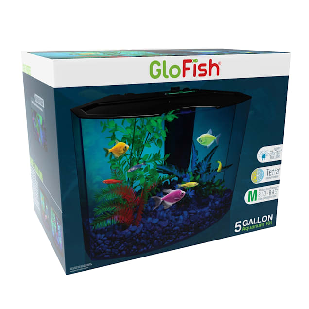 GloFish Crescent Hidden Blue LED Light & Internal Filter Aquarium Kit 5  Gallons, 16.5 L x 11.25 W x 13.2 H