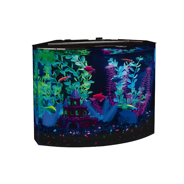 GloFish Crescent Hidden Blue LED Light & Internal Filter Aquarium Kit 5  Gallons, 16.5 L x 11.25 W x 13.2 H