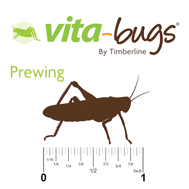 Vita Bugs Crickets For Sale Prewing 250 Count Petco