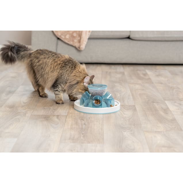 Cat feeder petco outlet