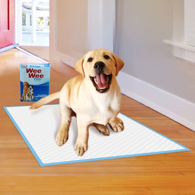 Large dog pee pads hotsell