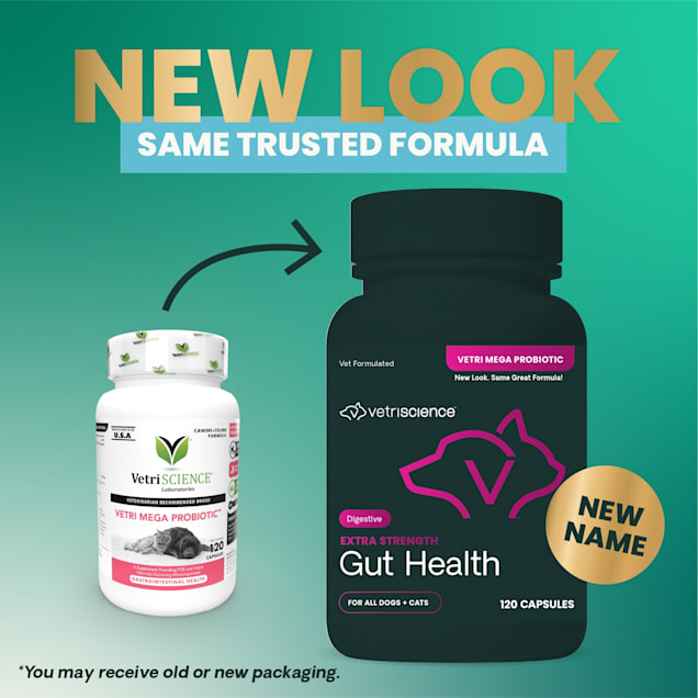 Vetriscience probiotic 2025