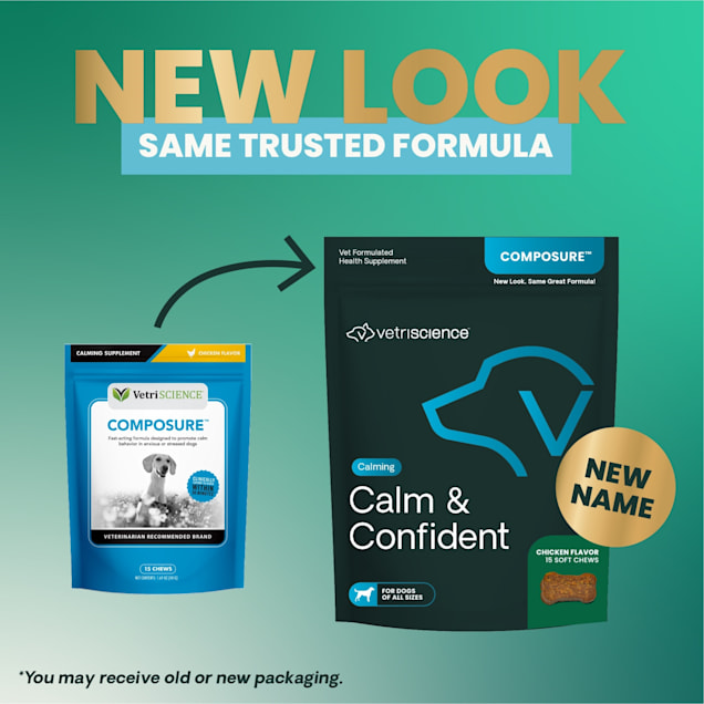 Vetriscience composure for dogs best sale