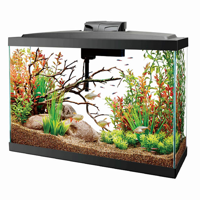 Aqueon Widescreen LED 13 Gallon Aquarium Kit - Carousel image #1