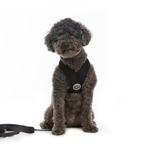 Fuzzy Heaven Personalized Anti-choke Dog Harness - Free Today