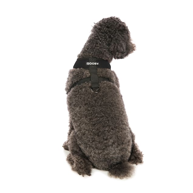 Gooby dog harness petco clearance