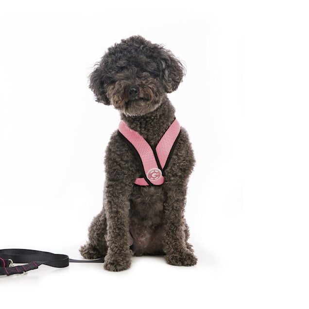 Gooby dog collars sales