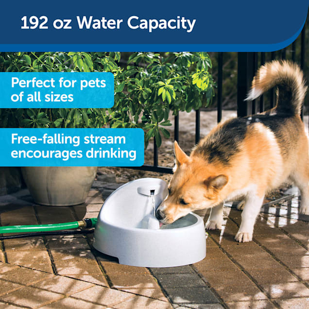 Automatic outdoor pet water fountain shop