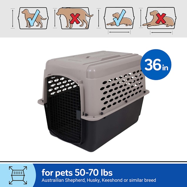 Petmate Tan Vari Dog Kennel 36 L X 25 W X 27 H Petco