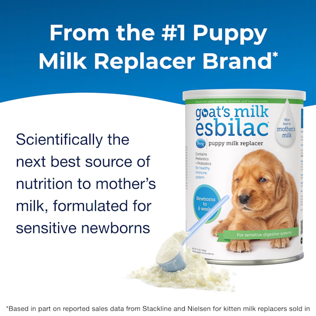 Petco puppy milk shop