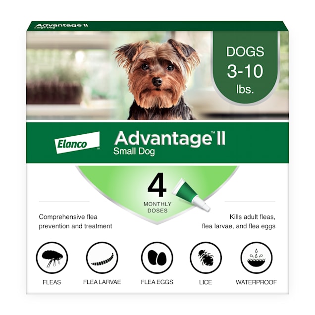 Advantage II Vet-Recommended Flea Treatment & Prevention for Small Dogs, Count of 4 - Carousel image #1