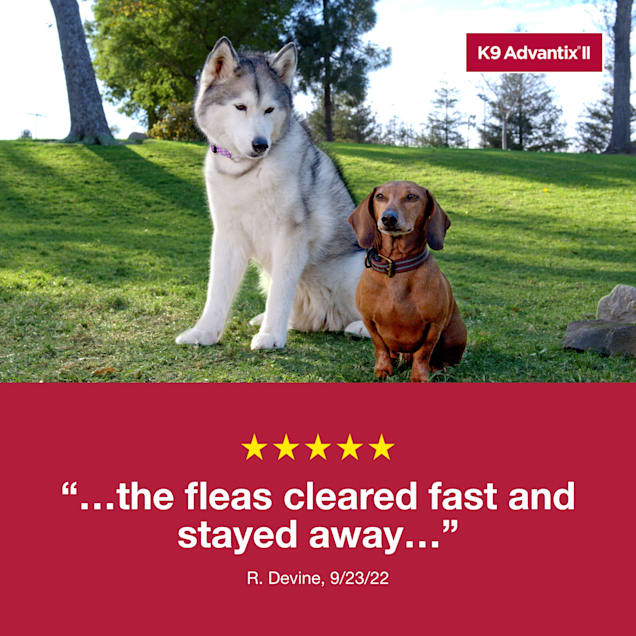 advantix 2 for medium dogs