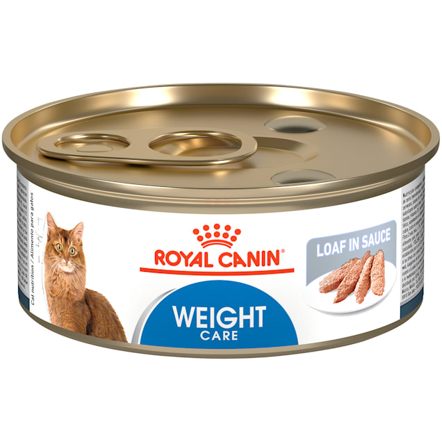 Royal Canin Feline Weight Care Loaf in Sauce Canned Adult Wet Cat Food ...