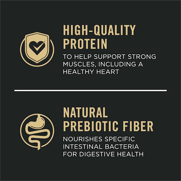 Purina pro plan savor salmon cheap and rice
