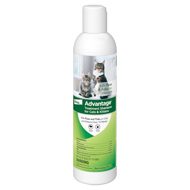 Advantage Elanco Flea & Tick Treatment Shampoo for Cats & Kittens, 8 fl. oz. - Carousel image #1