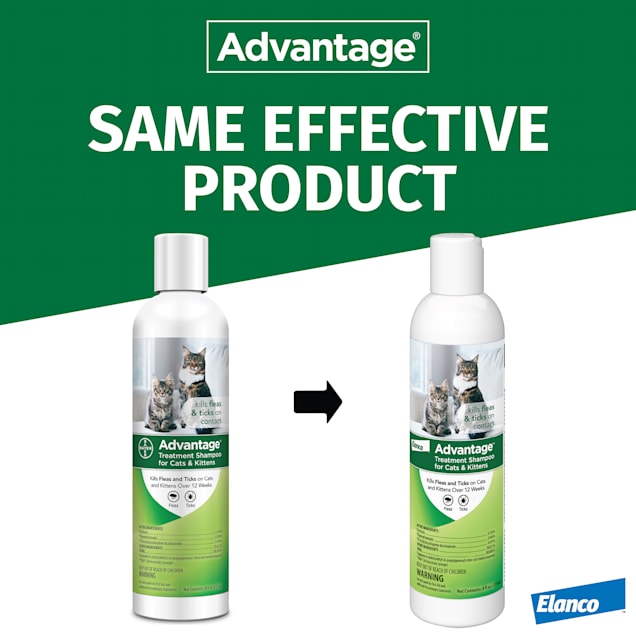 Advantage Elanco Flea Tick Treatment Shampoo for Cats Kittens