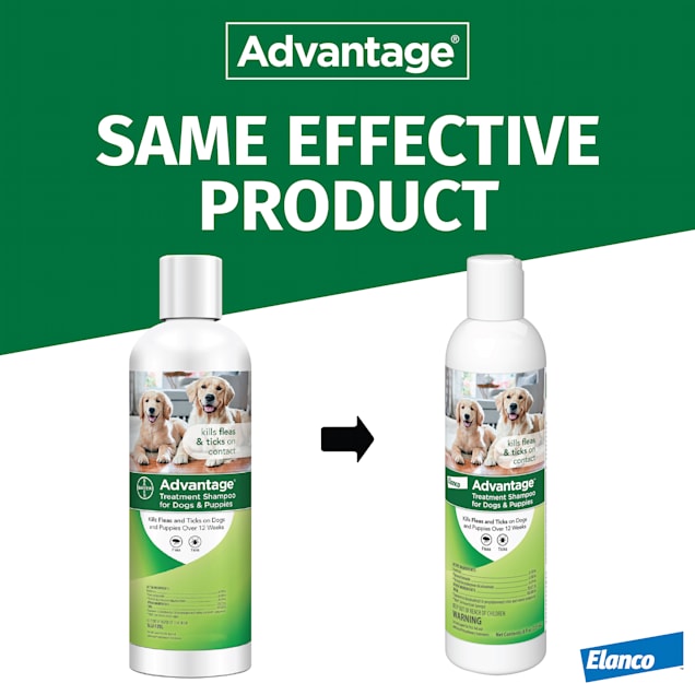 Advantage flea and tick shampoo for dogs reviews top