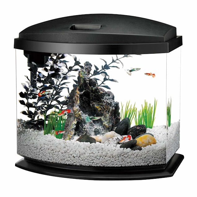 aqueon 5 gallon minibow led desktop fish aquarium kit black