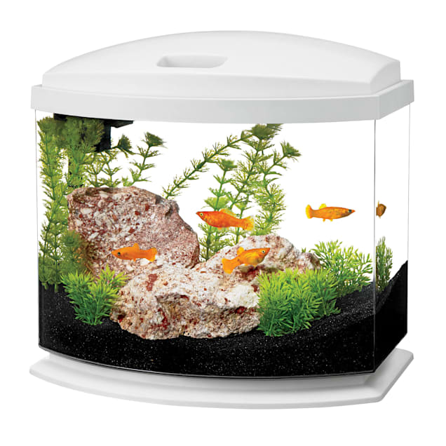 aqueon 5 gallon minibow led desktop fish aquarium kit white
