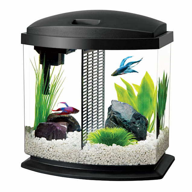 aqueon 2 5 gallon bettabow led desktop fish aquarium kit black