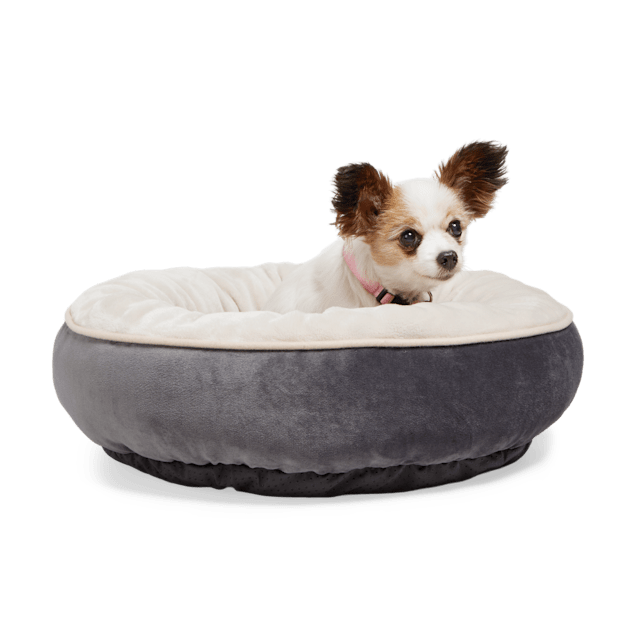 Petco dog beds clearance