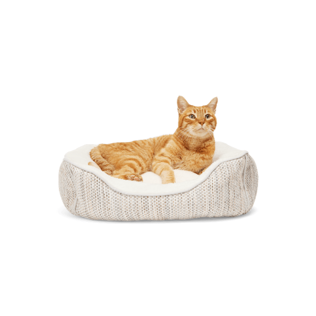 EveryYay Gray Orthopedic Luxe Cuddler Cat Bed