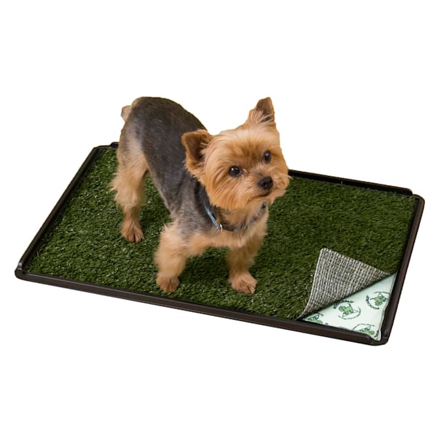 PoochPad Reusable Absorbent Potty Pads for Dogs