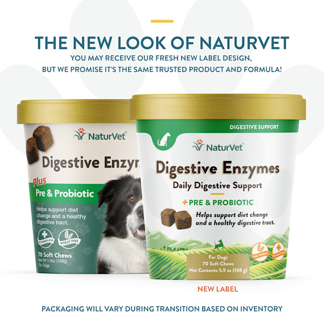 NaturVet Digestive Enzymes Plus Pre Probiotics Soft Chews for
