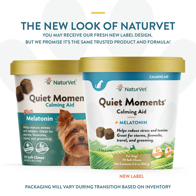 Petco anxiety medication hot sale