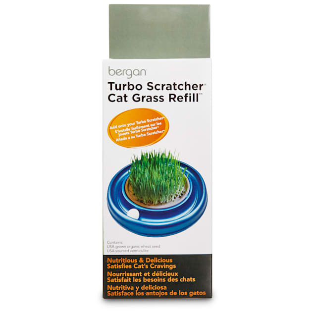 Bergan Turbo Scratcher Cat Grass Seed and Soil Refill - Carousel image #1