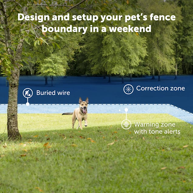 Petco electric fence shop