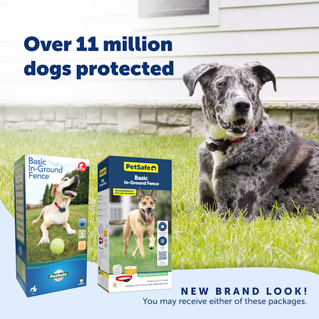 PetSafe Basic In Ground Fence