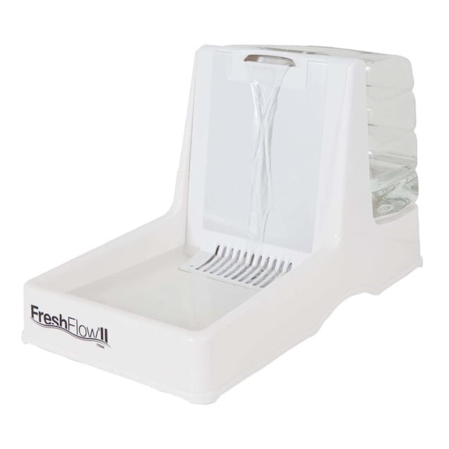 Fresh flow cat fountain outlet