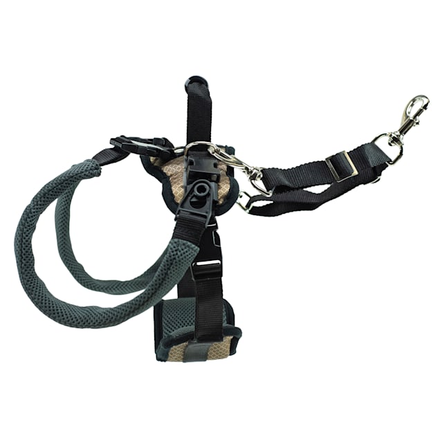 Dog lift shop harness petco