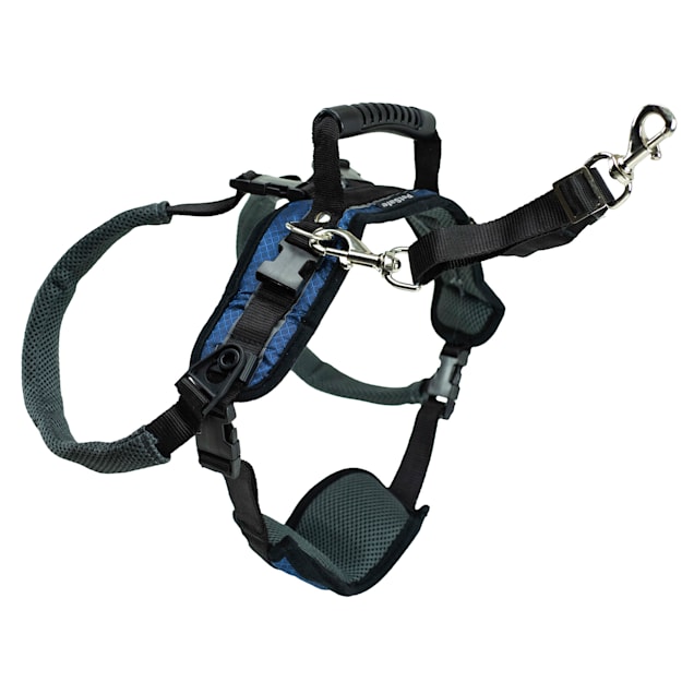 PetSafe Black/Blue Rear Dog Lifting Aid, Large | Petco