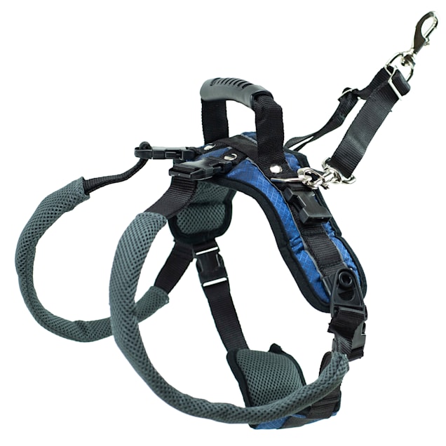 Petco dog cheap lift harness