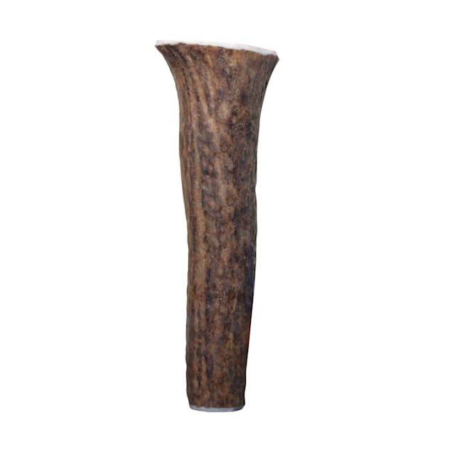 KONG Wild Elk Antler Small Dog Chew Dental Aid