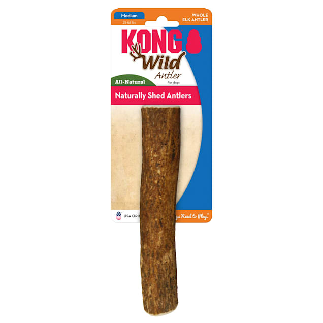 KONG Wild Whole Elk Antler Dog Bone, Medium Petco