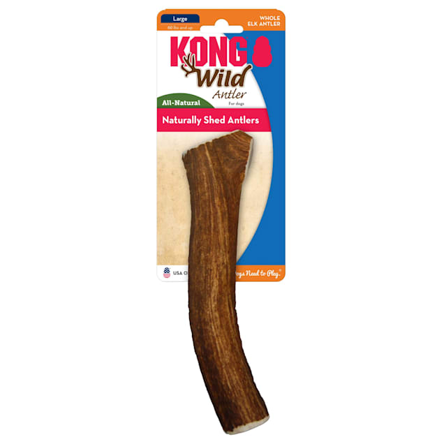 KONG Wild Whole Elk Antler Dog Bone, Large Petco