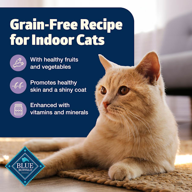 Top grain free cat food discount