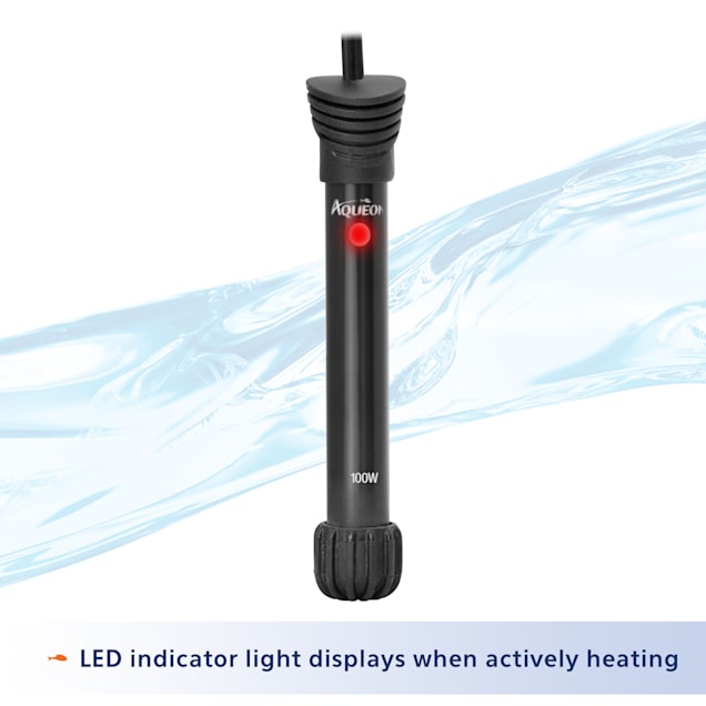 Aqueon submersible aquarium heater hotsell