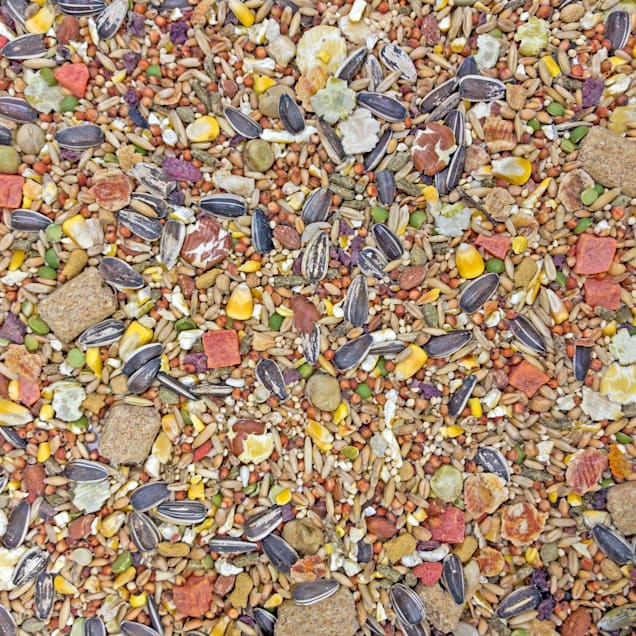 Guinea Pig Food Higgins Pack Of Sunburst Gourmet Blend Parakeet