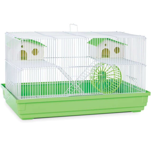 Hamster clearance tubes petco